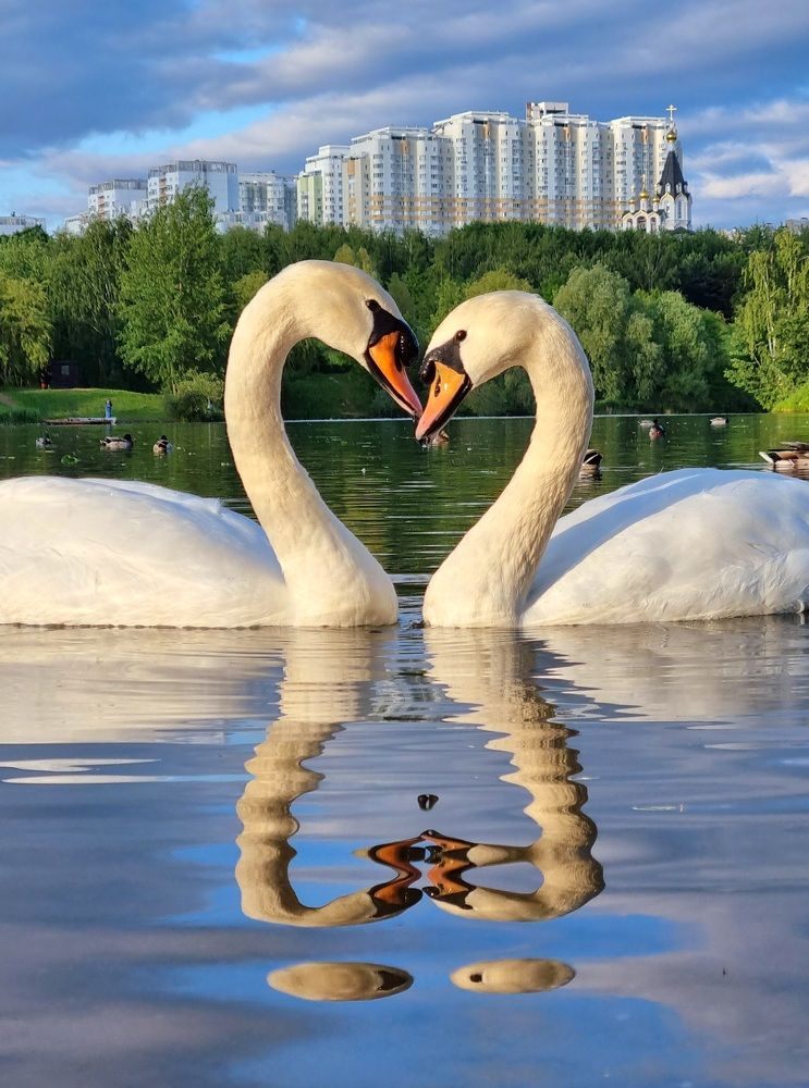 Photograph by Ангелина Шикина