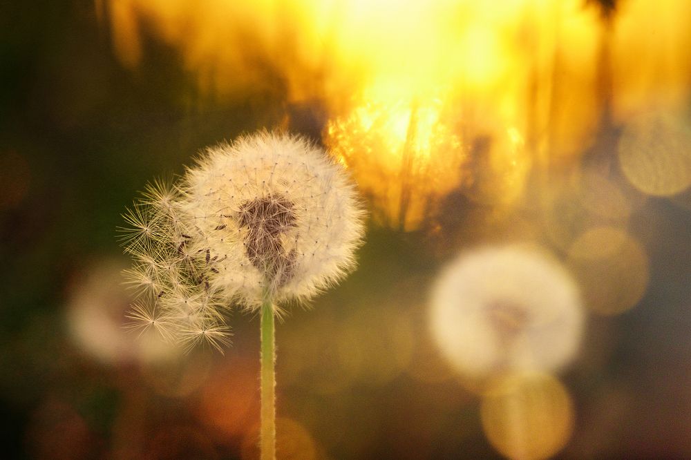 Photograph by Дмитрий