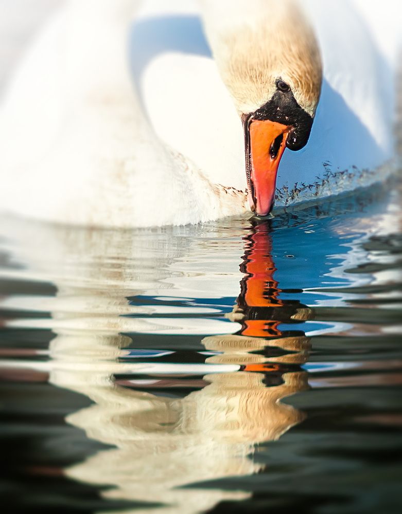 Photograph by Дмитрий