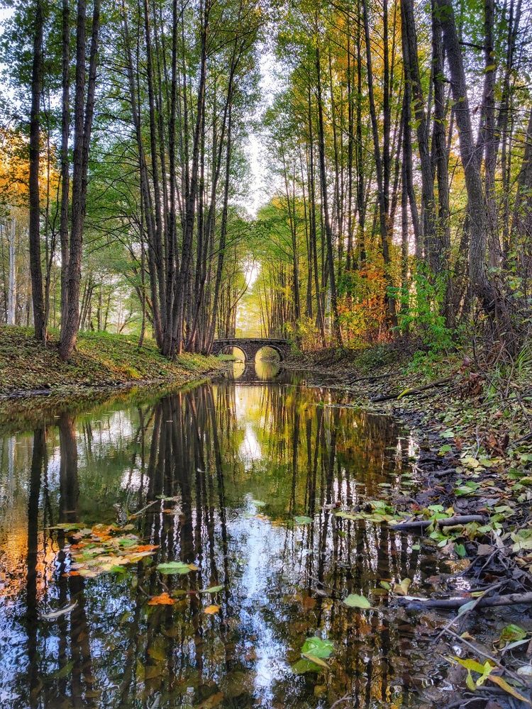 Photograph by Владимир Шаруба