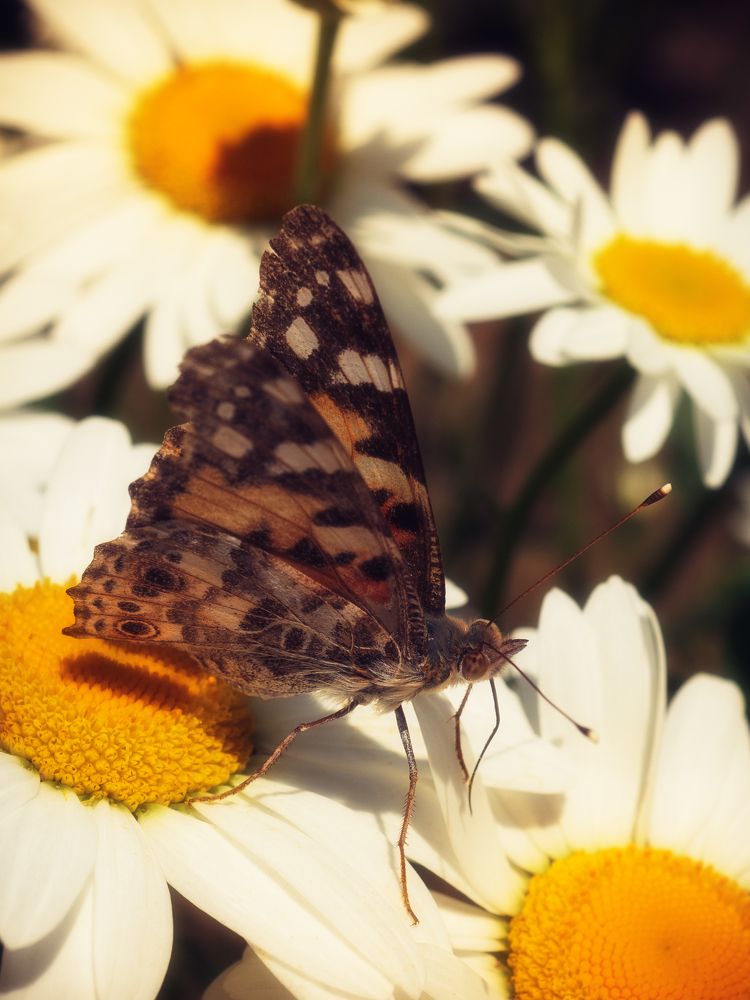 Photograph by Юрий Говорков