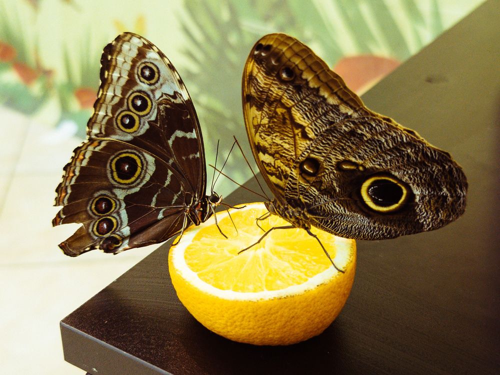 Photograph by Vitaliy