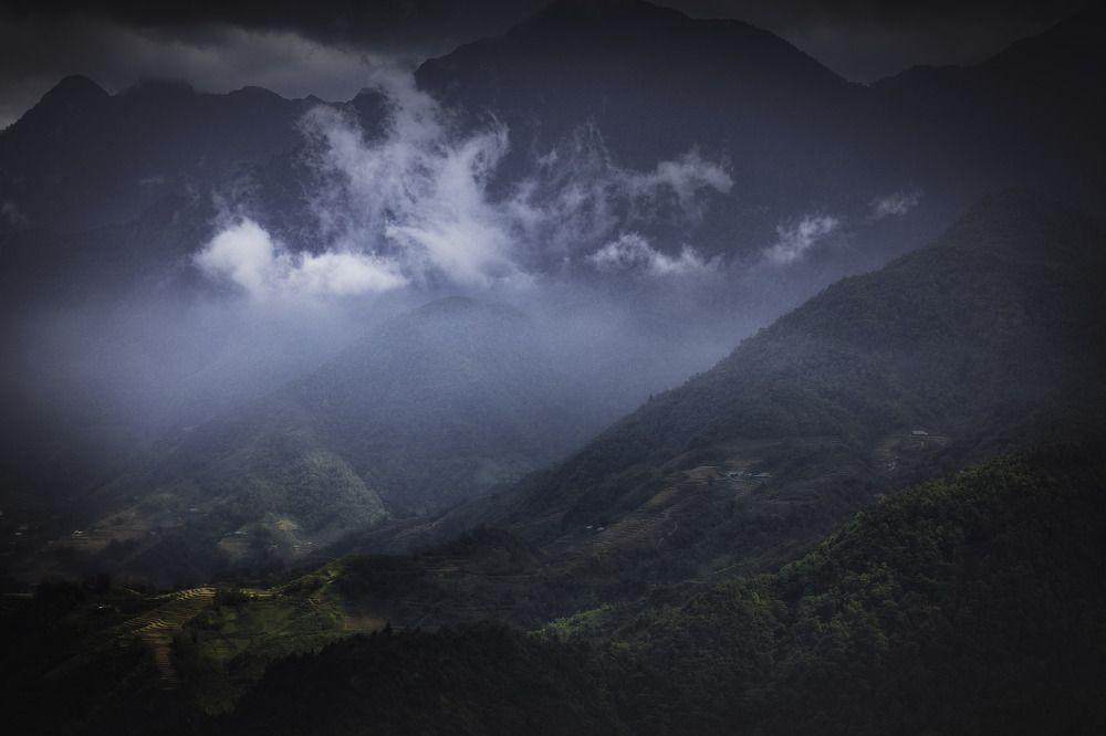 Photograph by Могилевич Elena