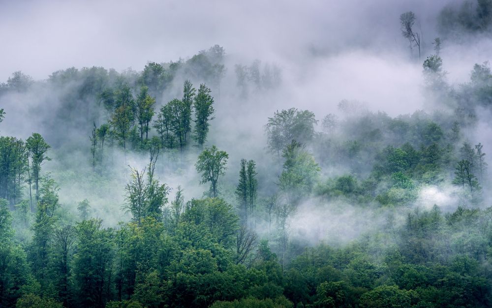 Фотография автора Alena Gersicova