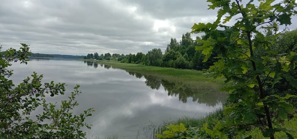 Photograph by Светлана Васильева