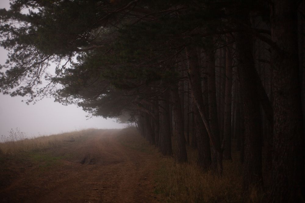 Photograph by Nina Zaytseva