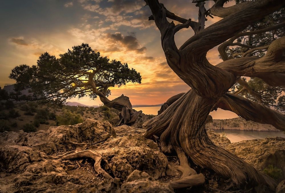 Photograph by Разумов Александр