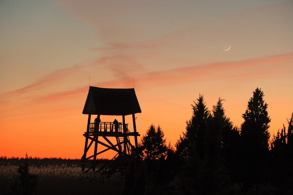 Moon set / Latvia 05.2023