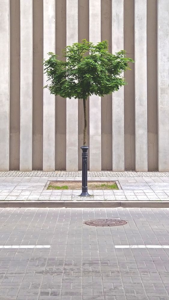 Photograph by Anton Leonchikov