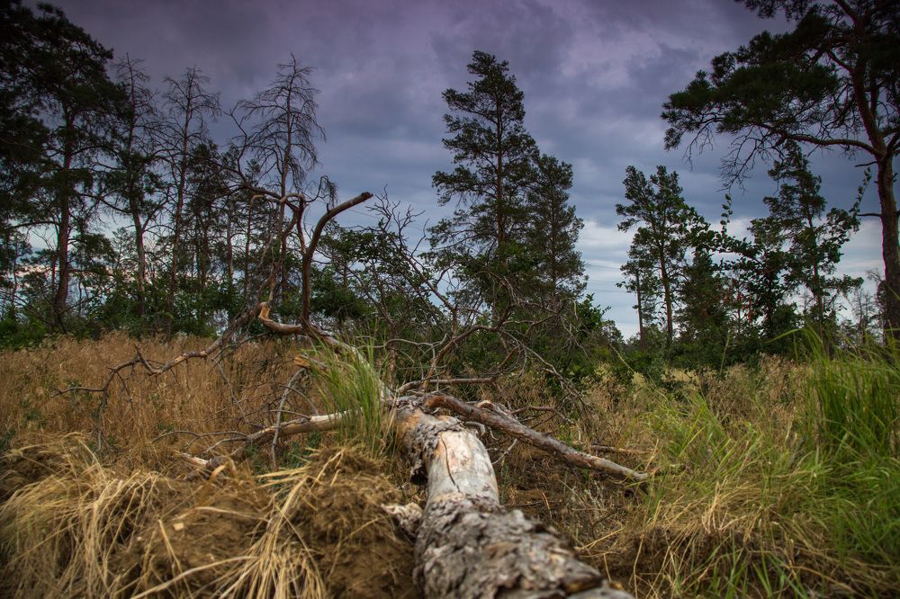 Photograph by Nastya Perekhodkina