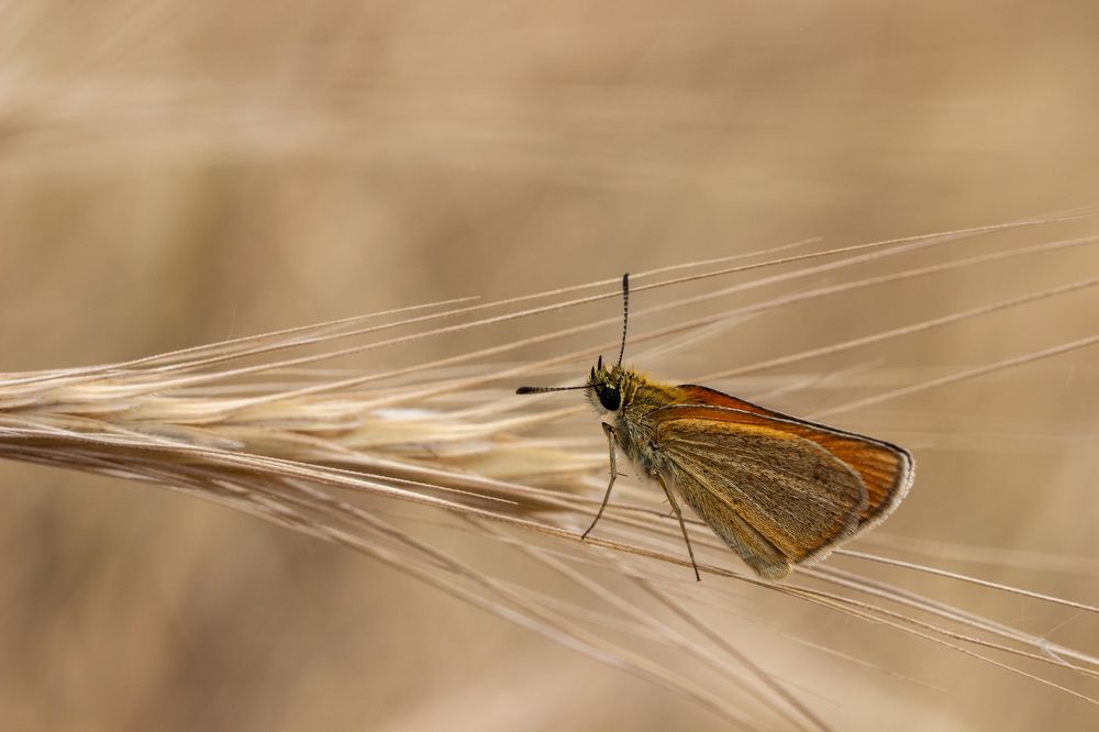 Photograph by Nastya Perekhodkina