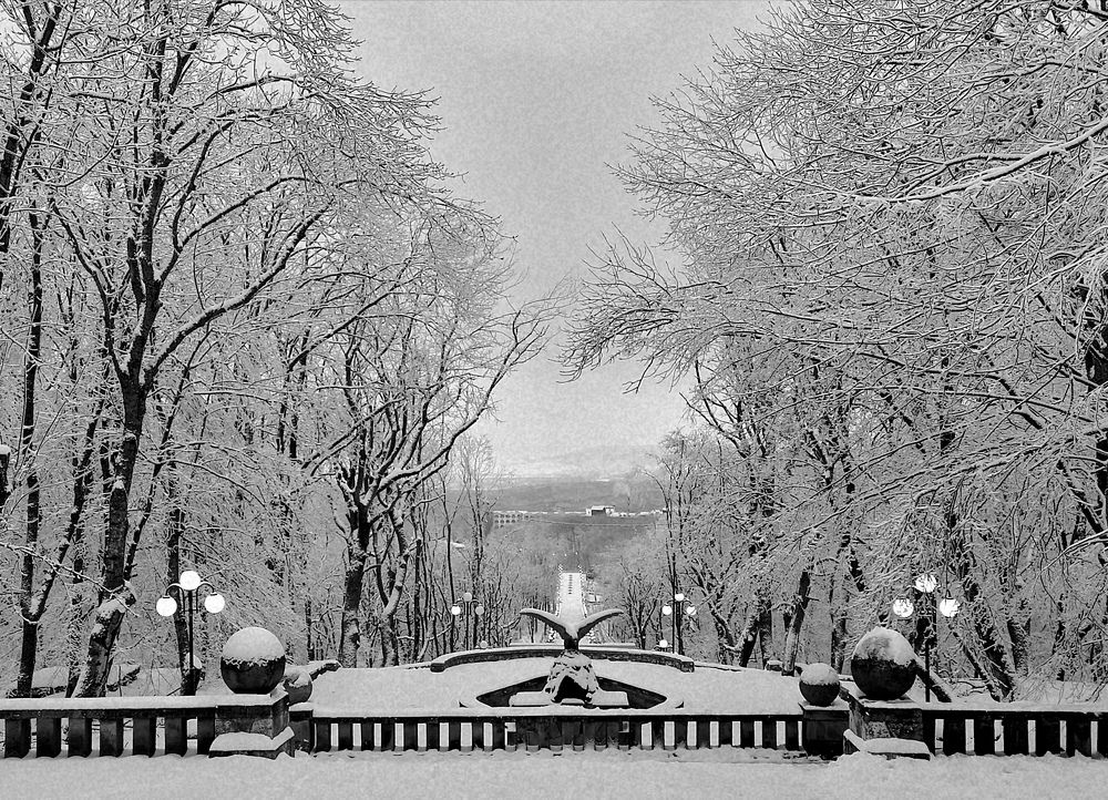 Photograph by Владимир Кривенко