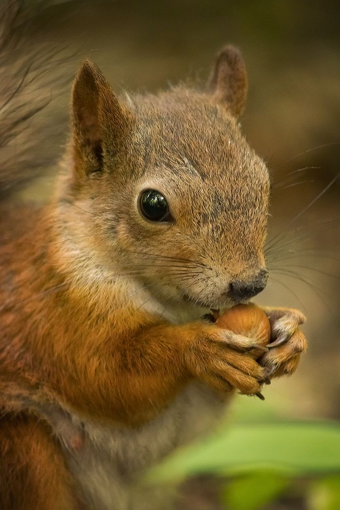 Photograph by Виктория Мамаева