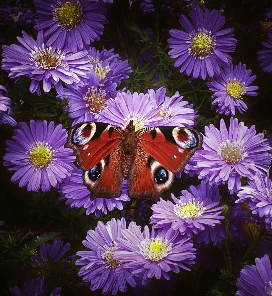 Photograph by Марина Регенспергер