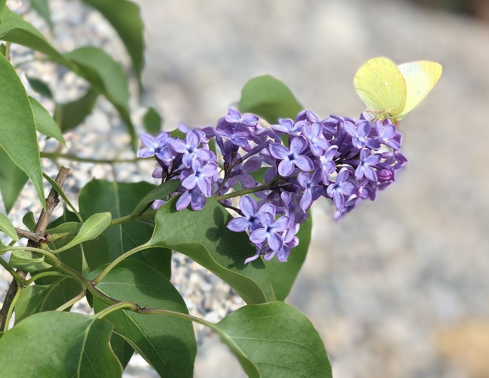 Photograph by ЮЛИЯ СУЛИМОВА