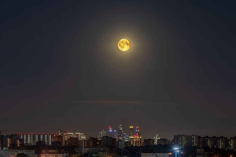 Photograph by Алексей Чеботарев