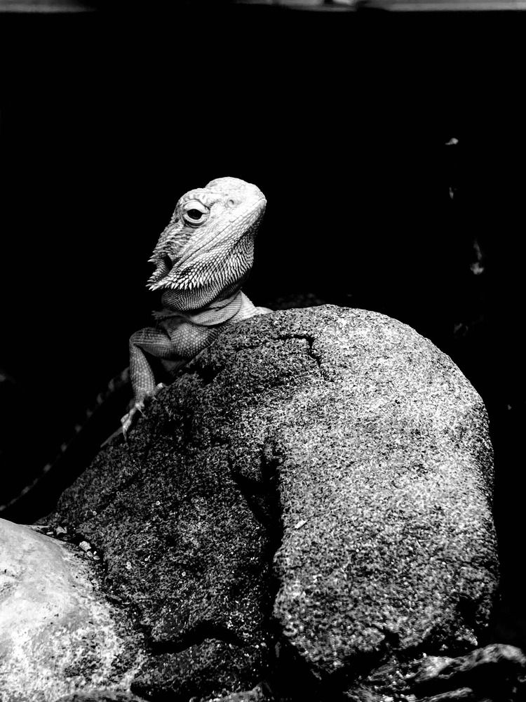 Photograph by Елена