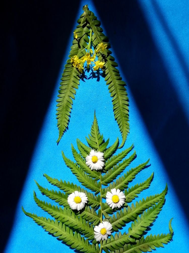 Photograph by Светлана Веселовская