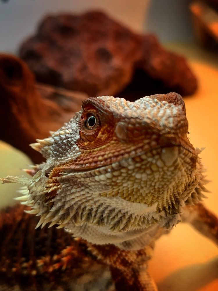 Photograph by Jonna Sabenorio