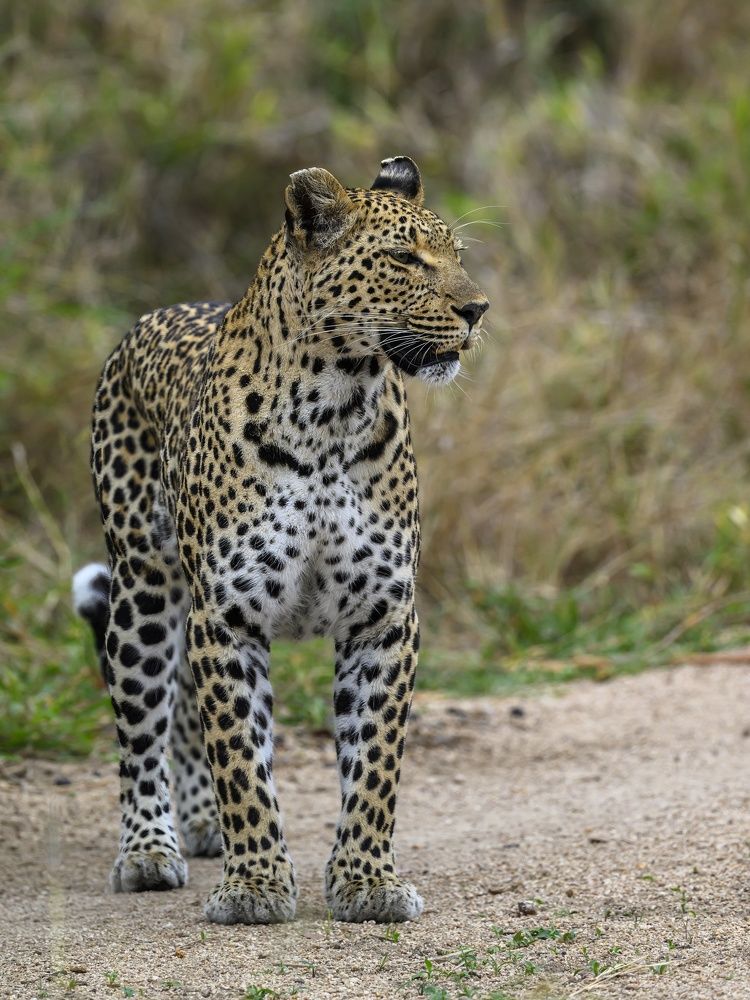 Photograph by Sergey Puponin