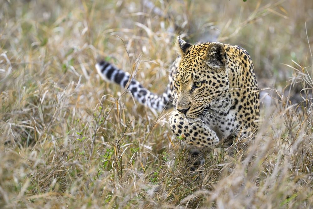 Photograph by Sergey Puponin