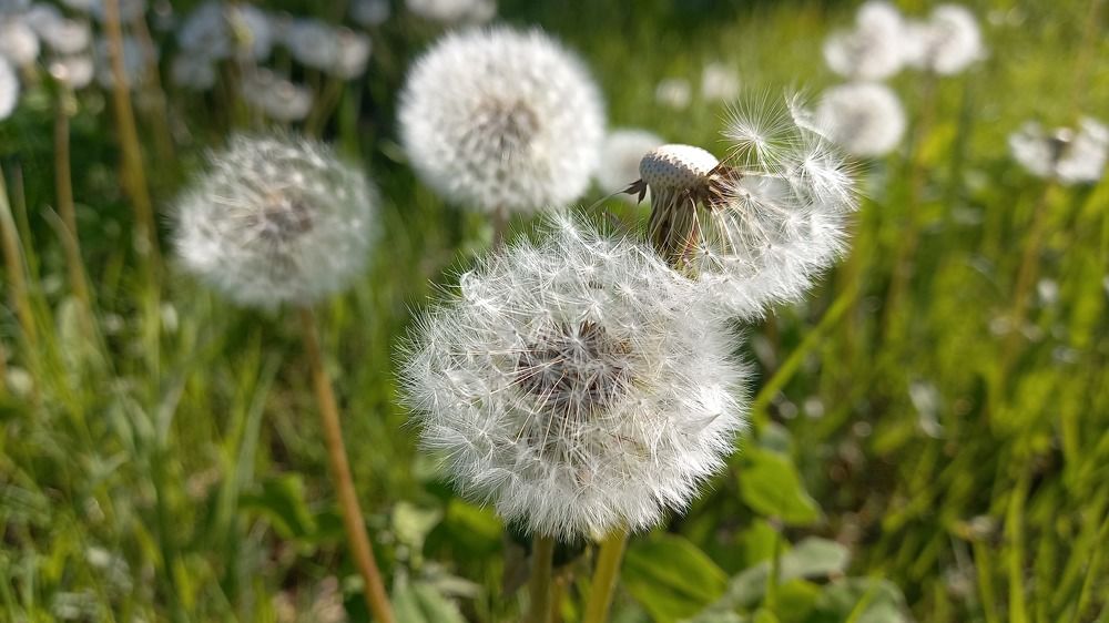 Фотография автора Евгения Зайцева