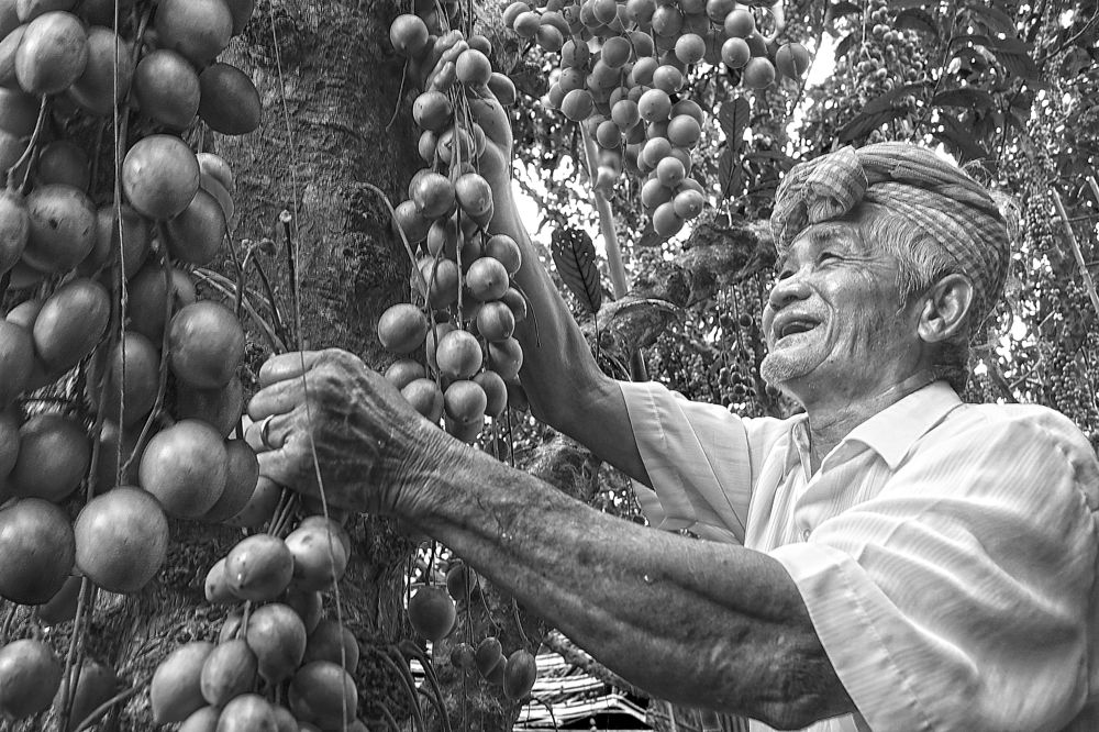 Photograph by Vy Van Bui