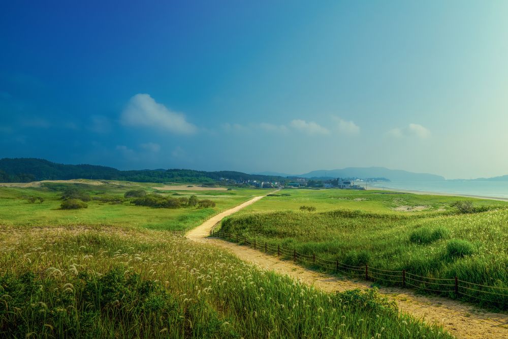 The Road of Meditation