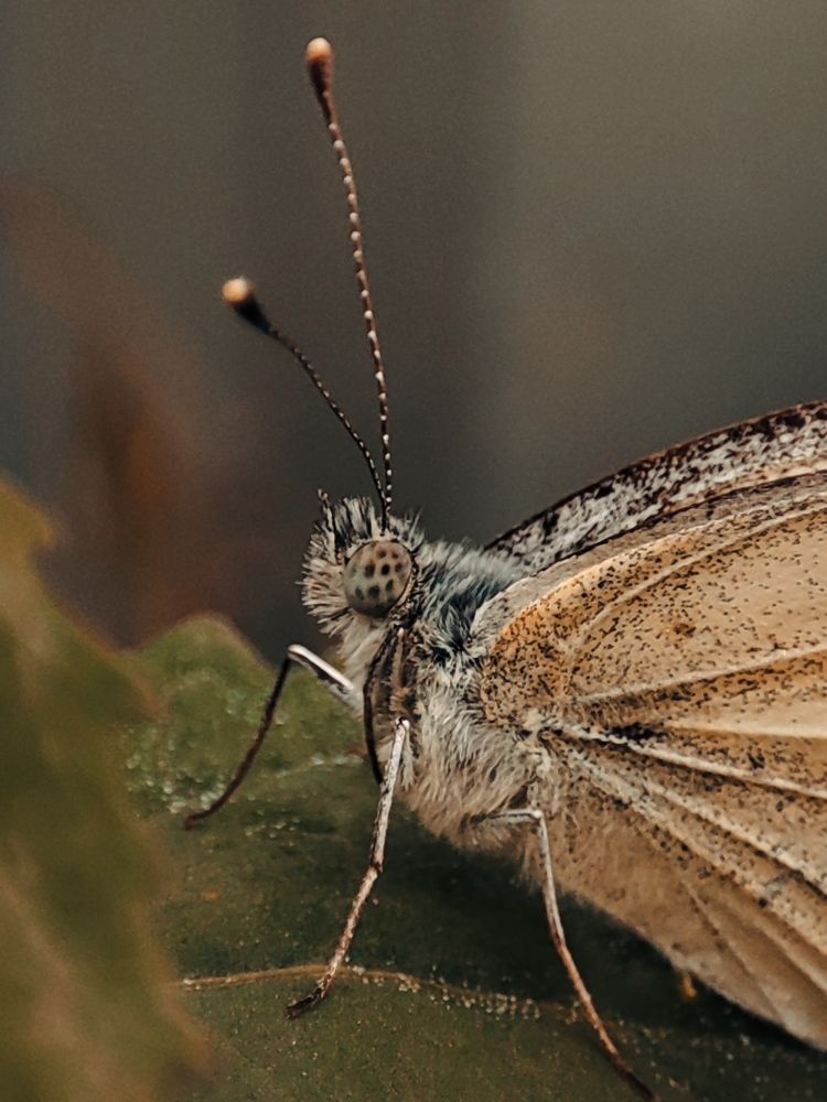 Photograph by Татьяна Долгушева