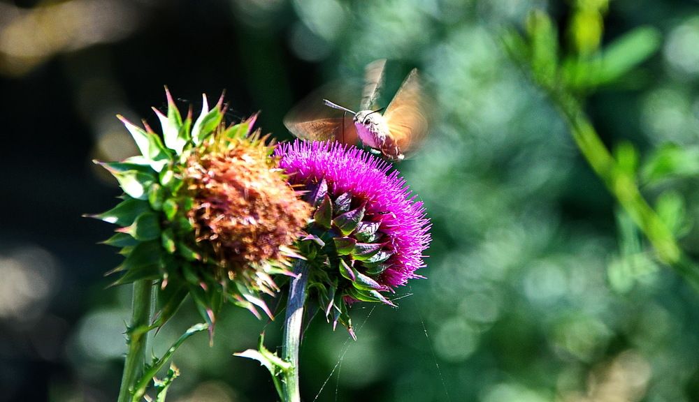 Photograph by Александр