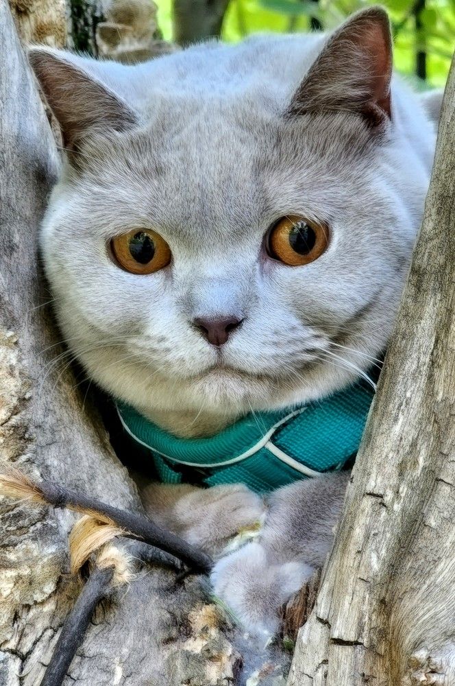 Photograph by Надежда Кудрявцева