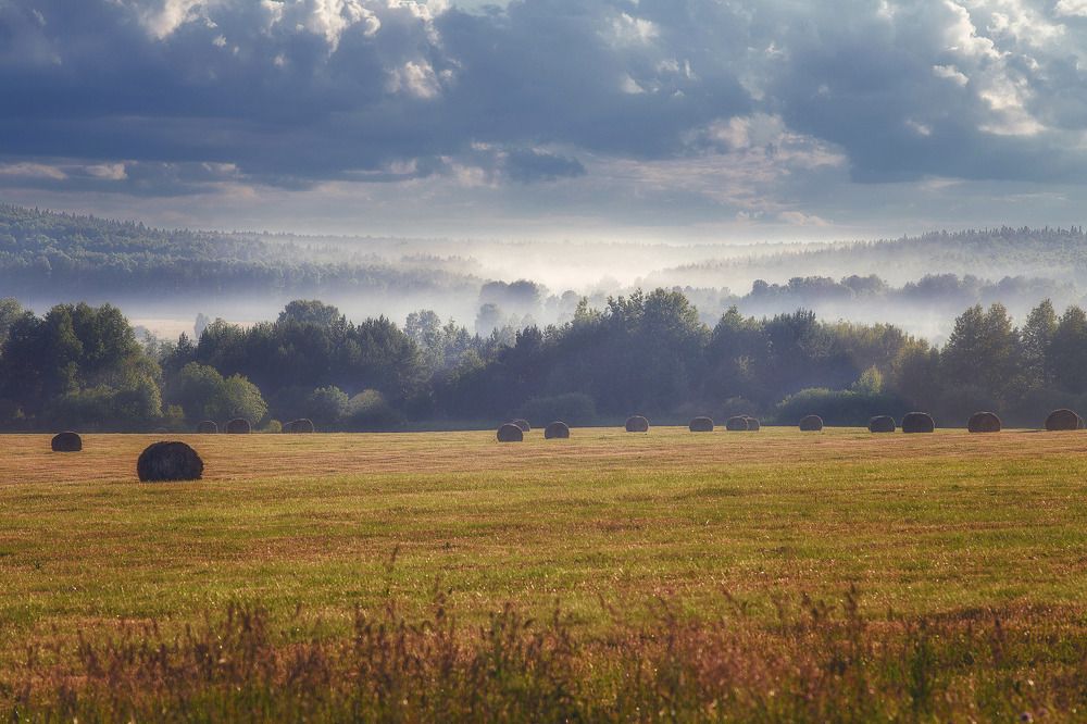 Photograph by Анастасия Глазюк