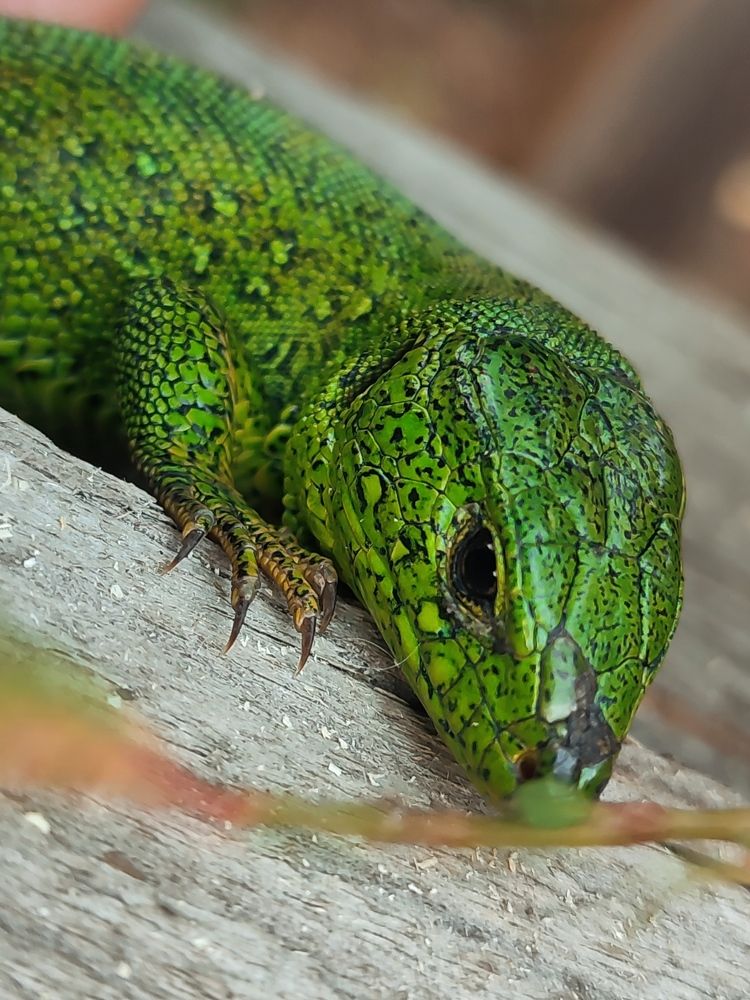 Photograph by Татьяна Долгушева