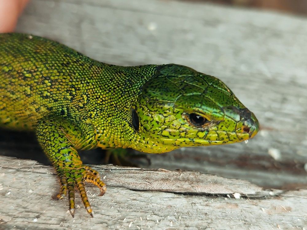 Photograph by Татьяна Долгушева