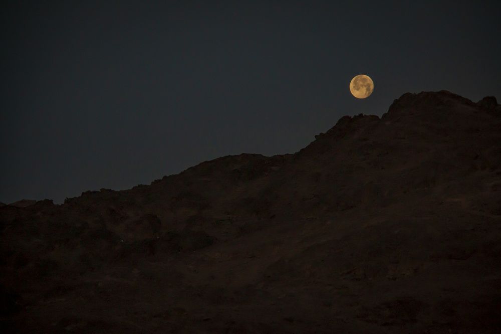 Photograph by Ольга Золототрубова