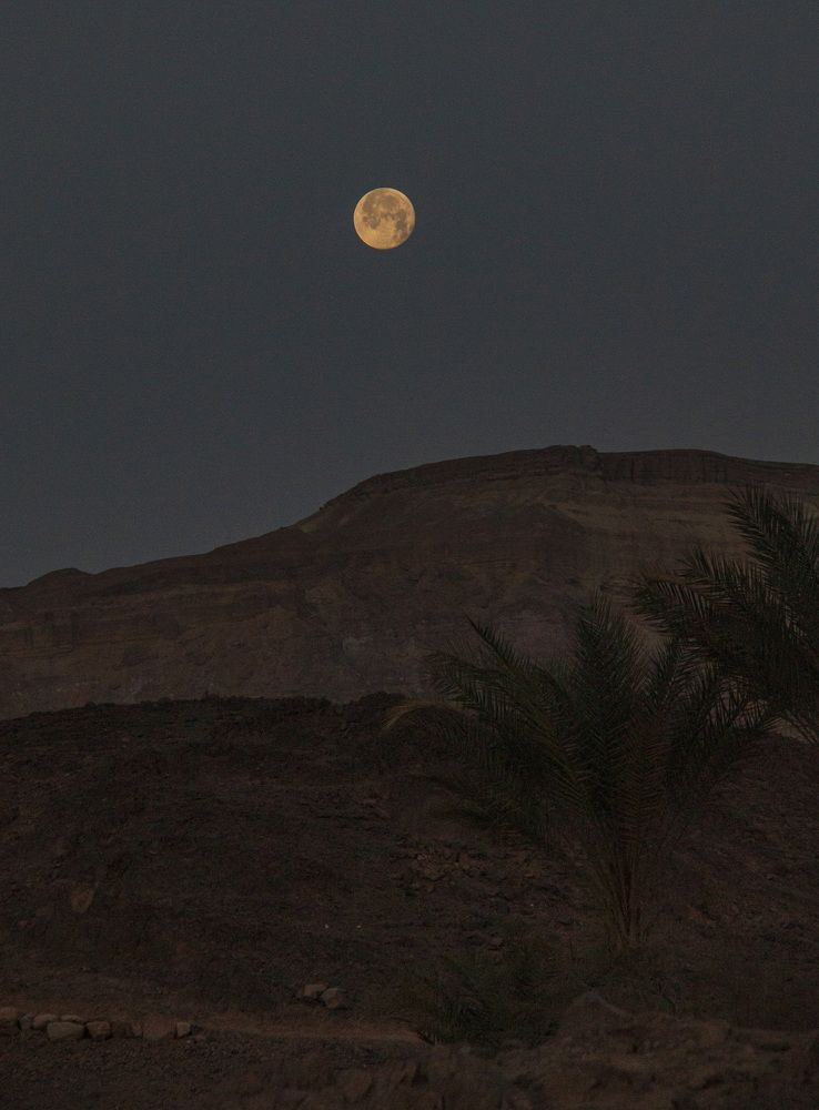 Photograph by Ольга Золототрубова