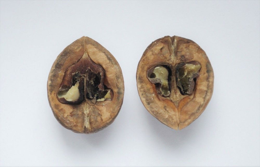 Photograph by Алекскандр Фатеев