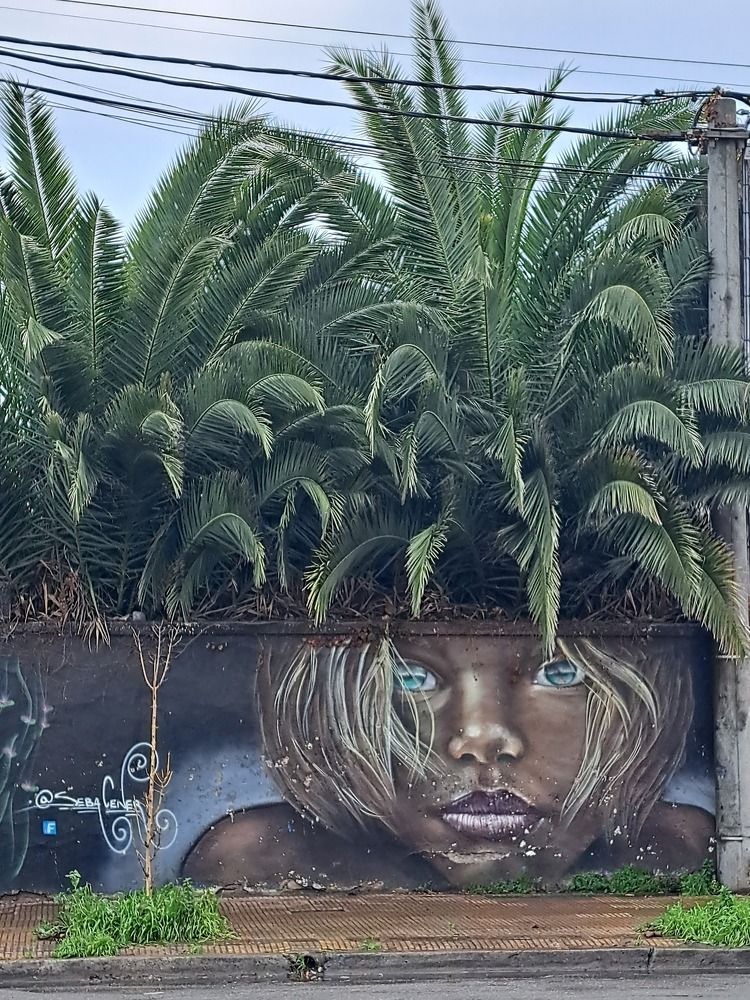 Фотография автора gustavo pecelis