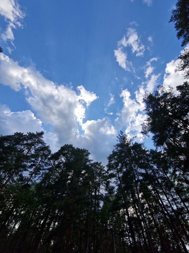 Photo #9253614
