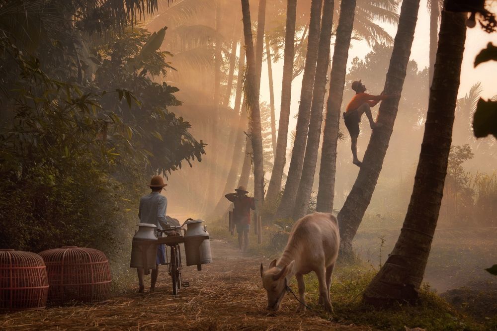 Photograph by Henri Fitriadi