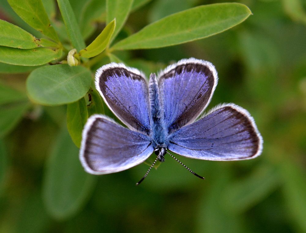 Photograph by вячеслав милов