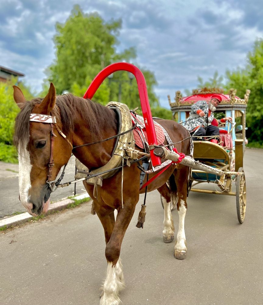 Суздальские мотивы