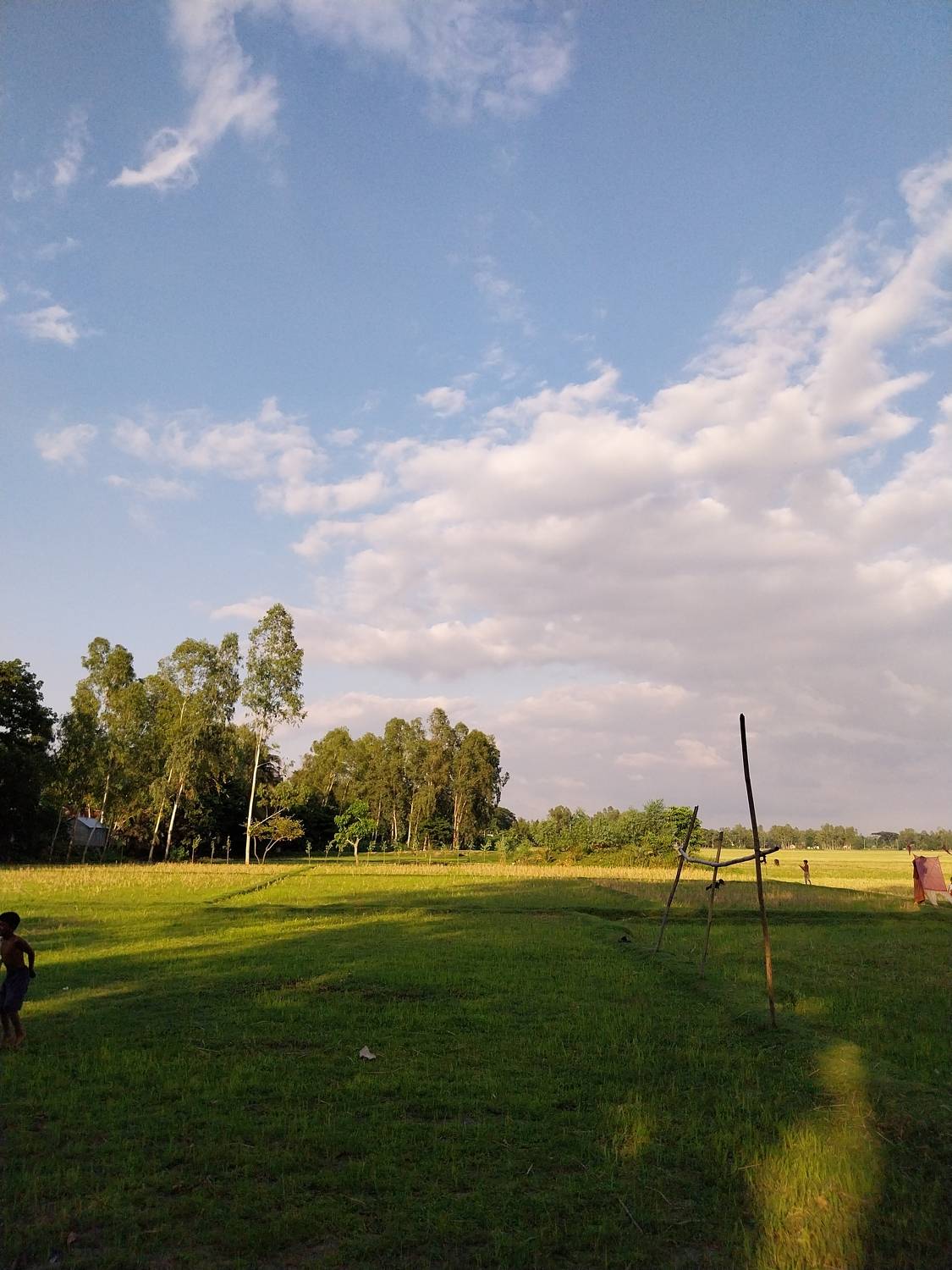 Photo #9253799