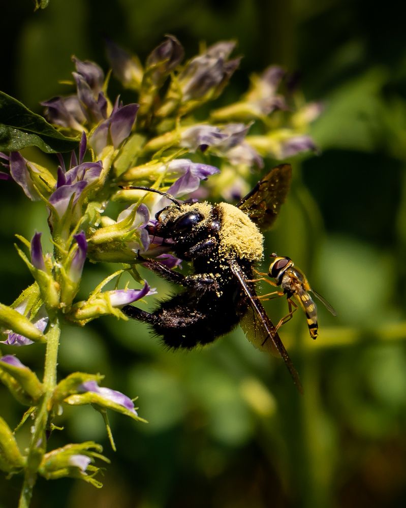 Photograph by Анна