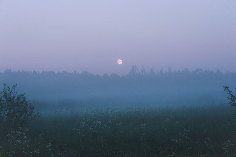 Photograph by Сергей Никифоров