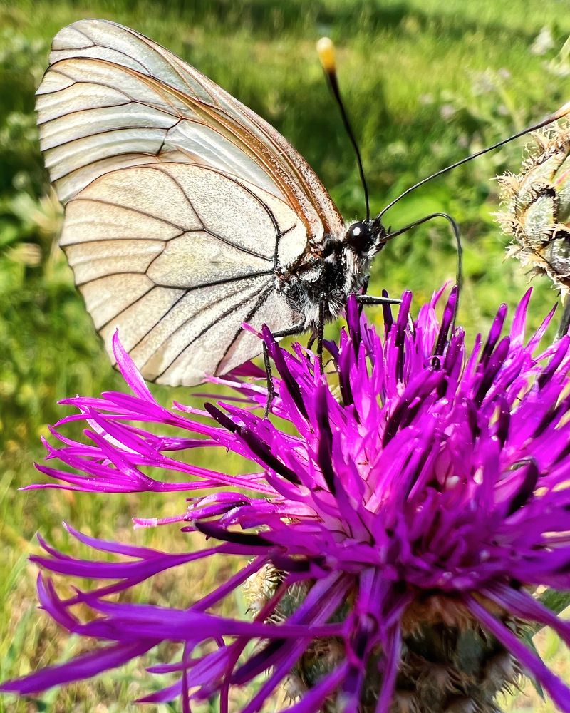 Photograph by Татьяна Волохова