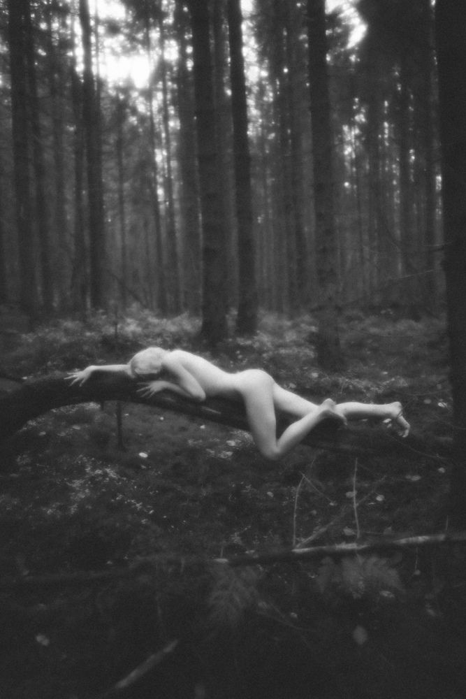 Photograph by Сергей Никифоров