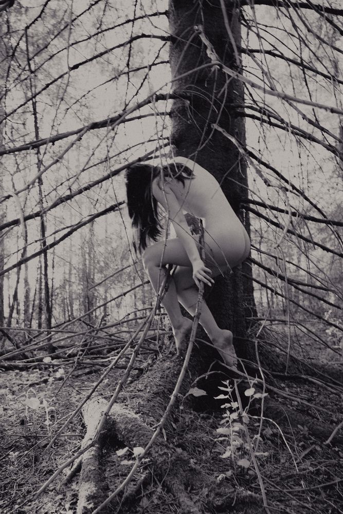 Photograph by Сергей Никифоров