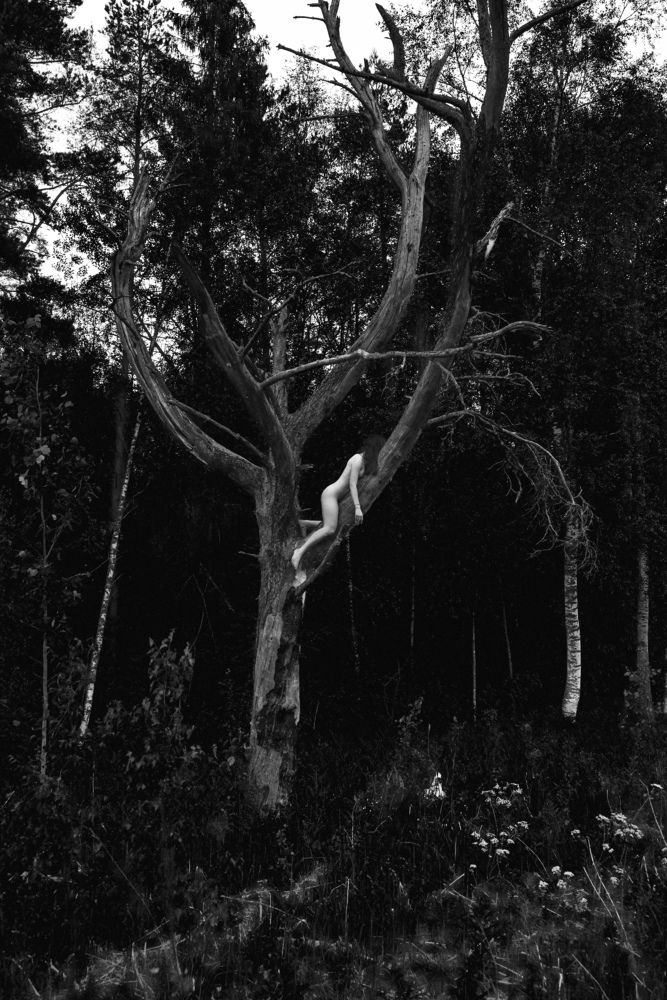 Photograph by Сергей Никифоров