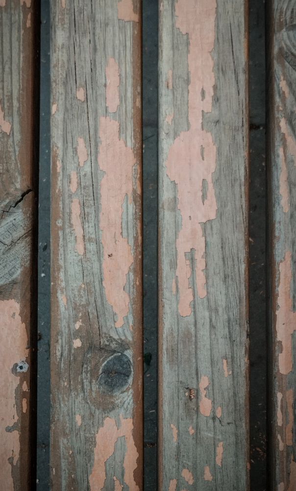 Photograph by Бабаев Зураб